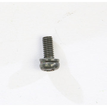 Screw W/Washer