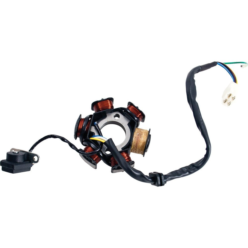 4 Stroke 6 Coil Magneto/Stator 50/90/110/125cc Electric Start