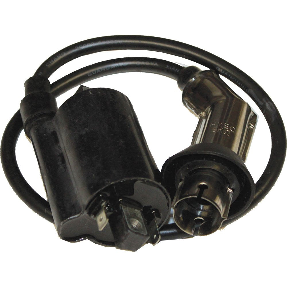 Ignition Coil 4 Stroke Gy6 250cc/Fs300