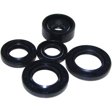 Oil Seal Kit