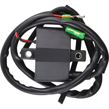 RM STATOR Ignition Coil - External - Arctic Cat RM06061