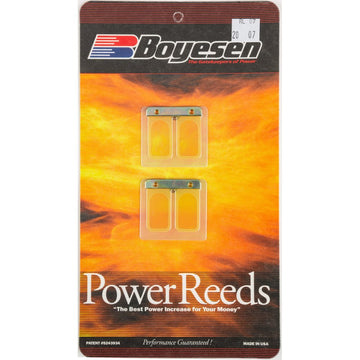 Motorcycle Rad Valve Reeds