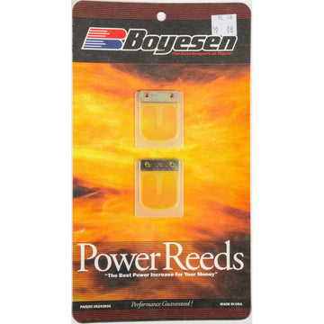 Motorcycle Rad Valve Reeds