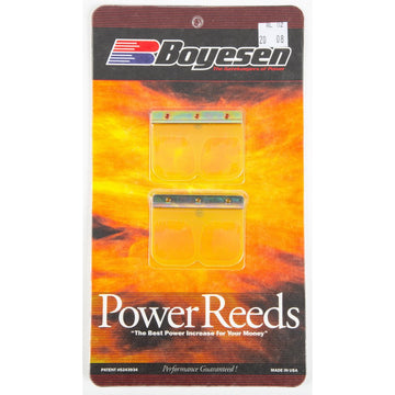 Motorcycle Rad Valve Reeds