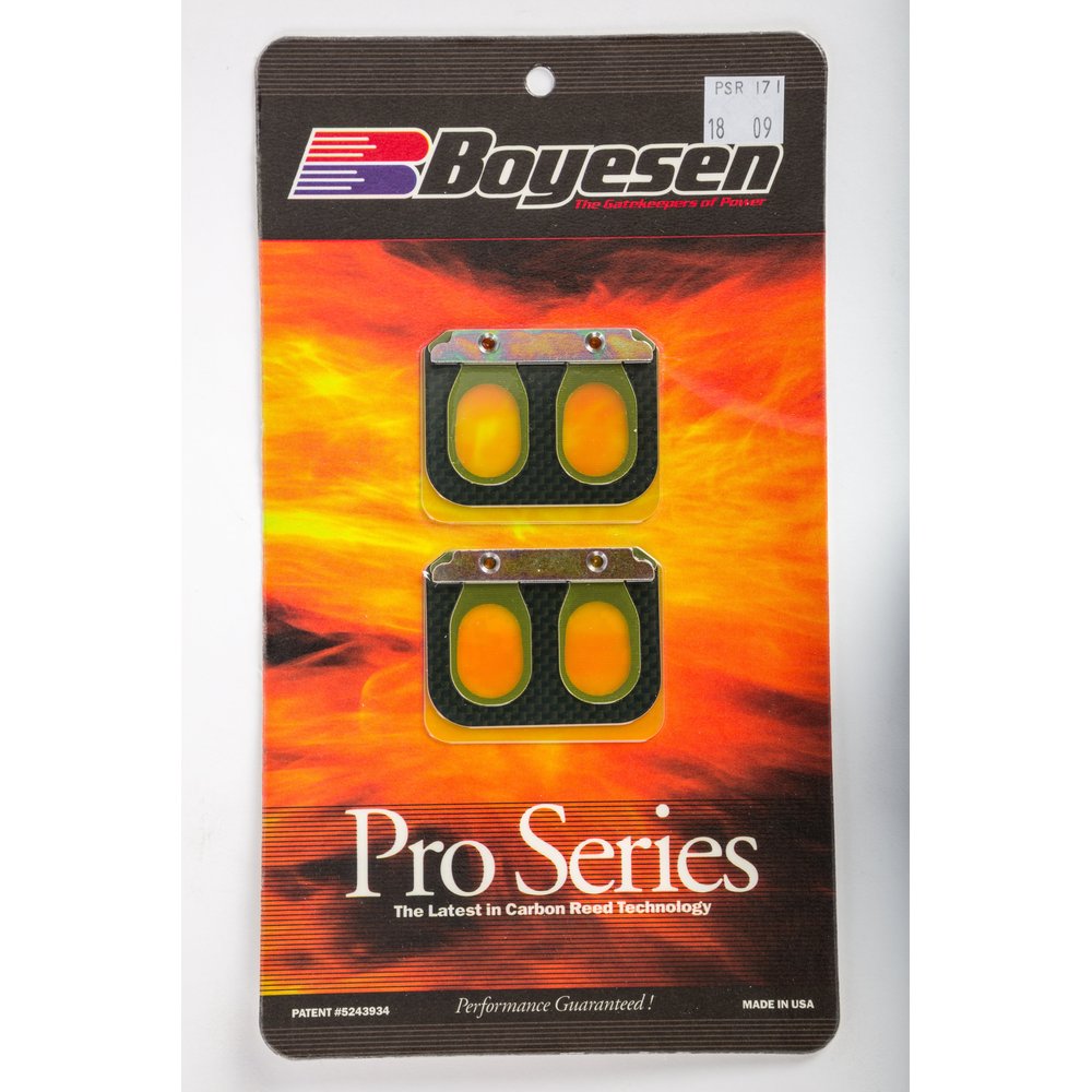 Motorcycle Pro Reeds