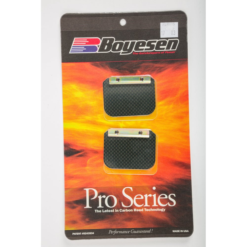 Motorcycle Pro Reeds