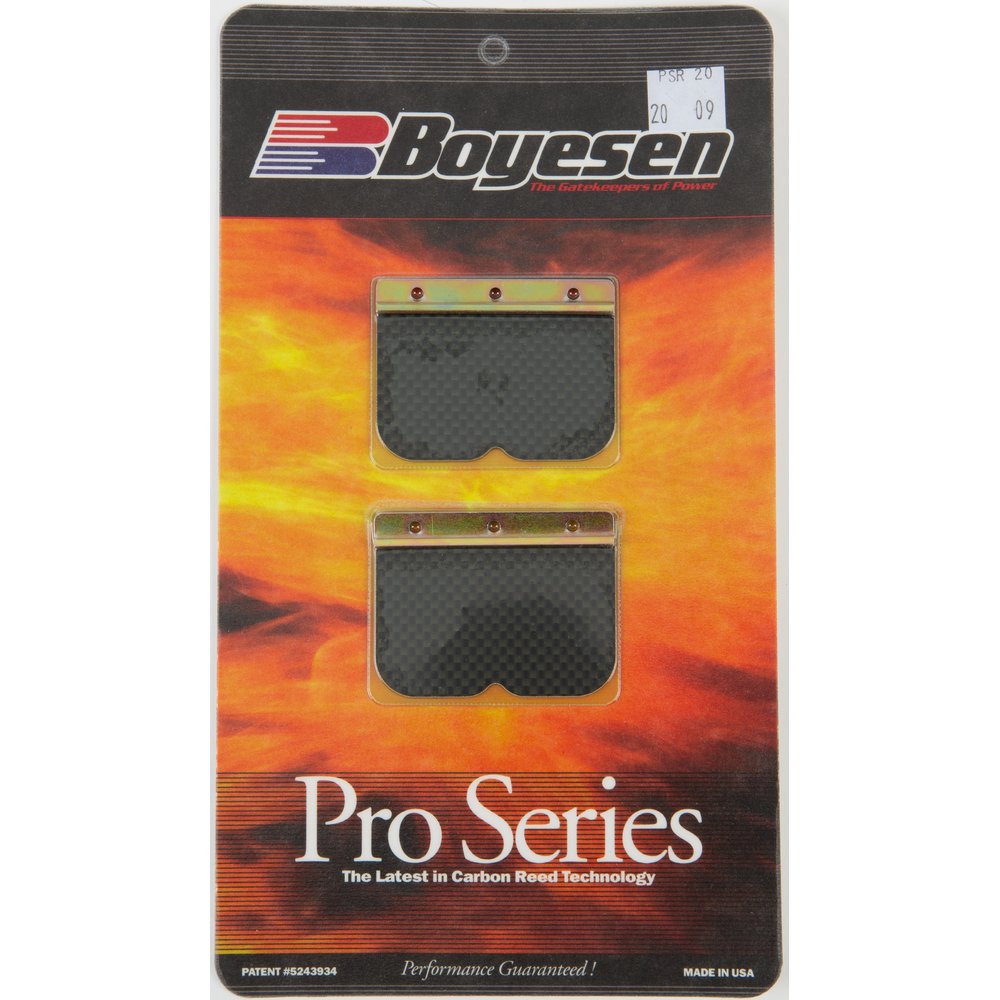 Motorcycle Pro Reeds