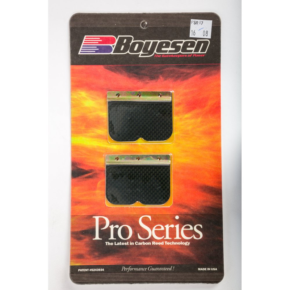 Motorcycle Pro Reeds