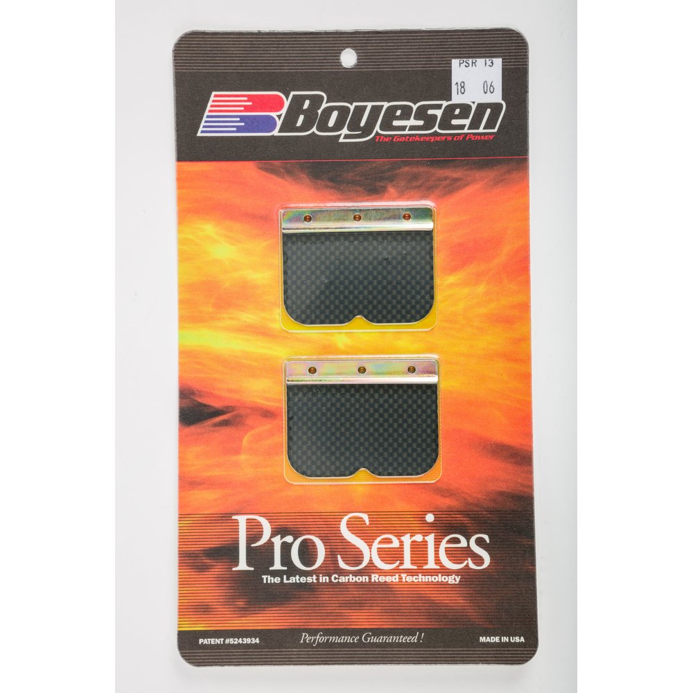 Motorcycle Pro Reeds