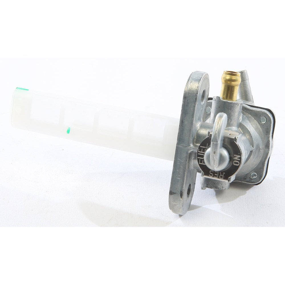 Fuel Petcock Assembly