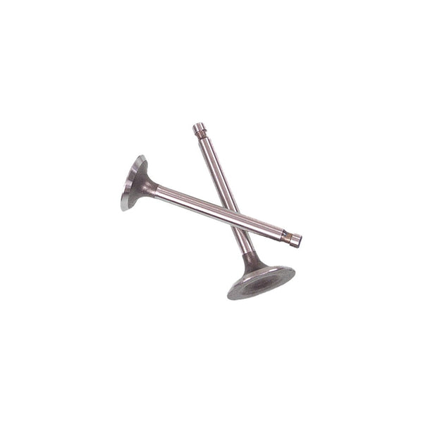 Valve Set Trx500 Foreman 05 12