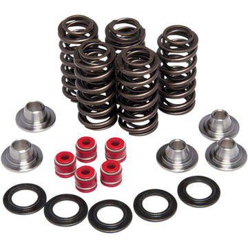 KIBBLEWHITE Valve Spring Kit 80-80206