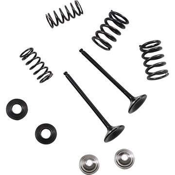 Moose Racing Valve and Spring Kit M80-82360