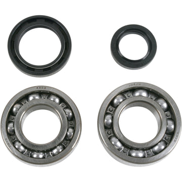 Moose Racing Crank Bearings and Seals - Suzuki 24-1037