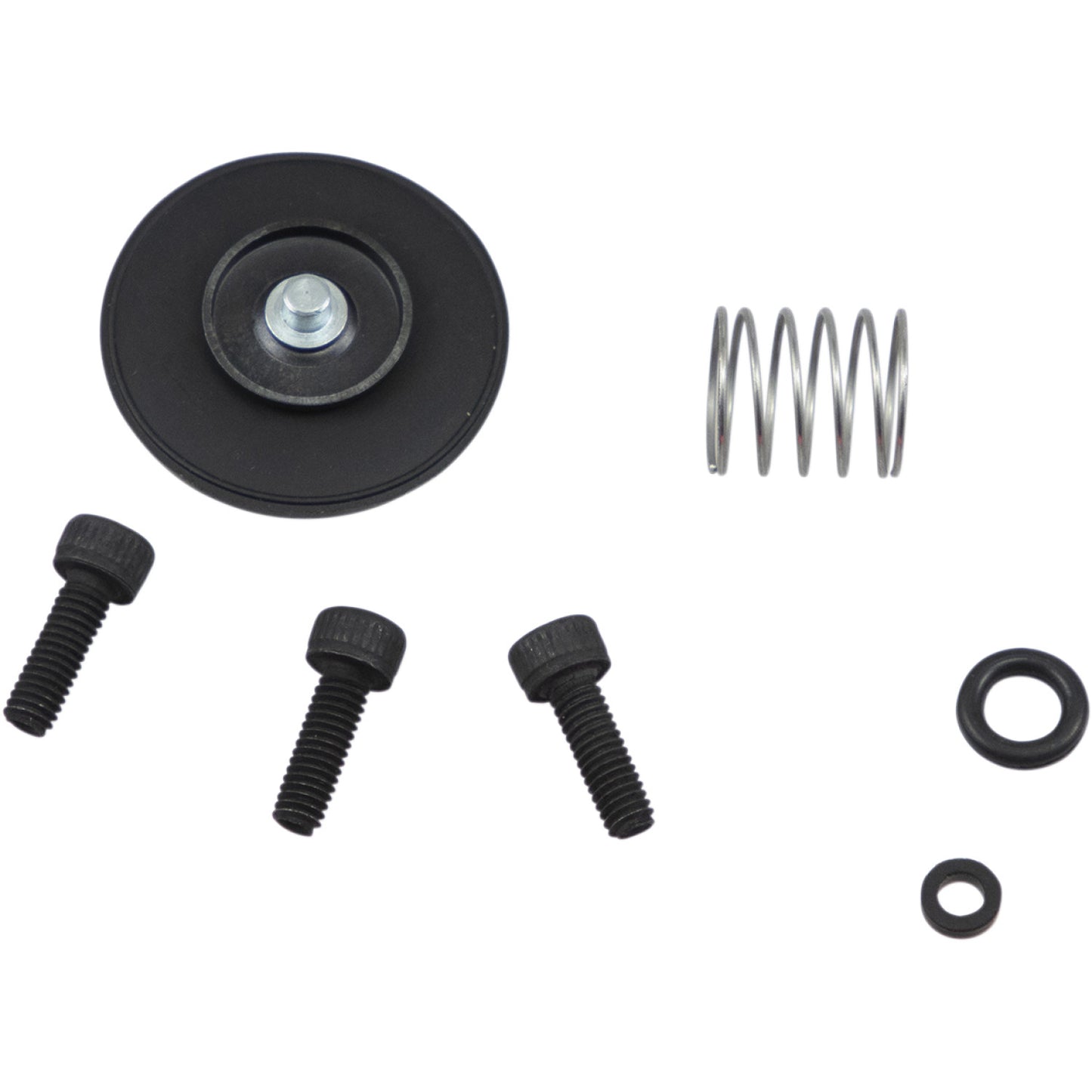 Moose Racing Acceleration Pump Rebuild Kit - KTM 46-3008