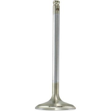 Kibblewhite Intake Valve 80-80216H | Valves & Parts | Kibblewhite
