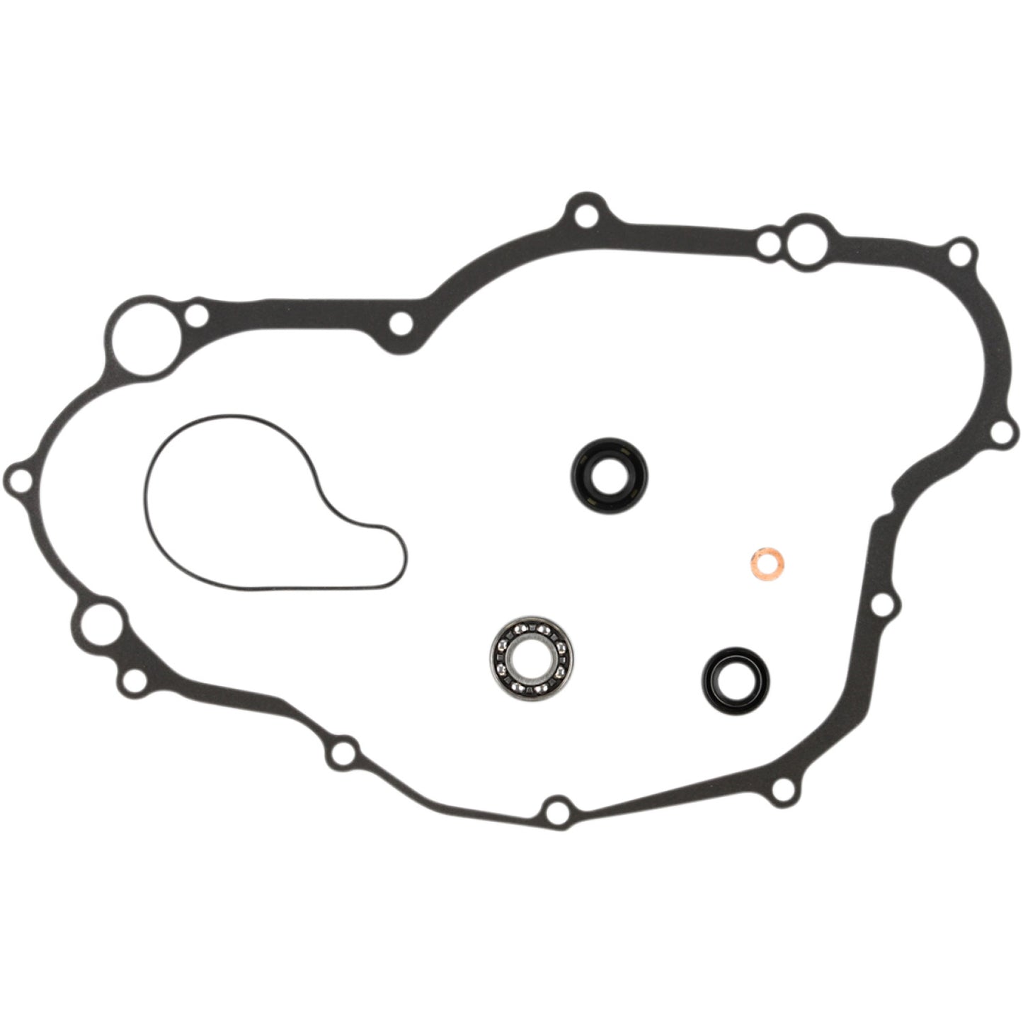 COMETIC Water Pump Install - Yamaha C3057WP