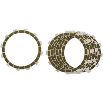 Barnett Clutch Kit 302-45-10013 | Clutch Plates & Springs