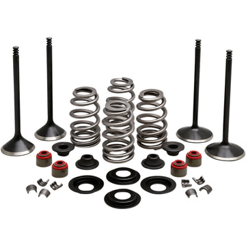 Kibblewhite Complete Valve Kit - Twin Cam 20-23150 | Valves & Parts | Kibblewhite