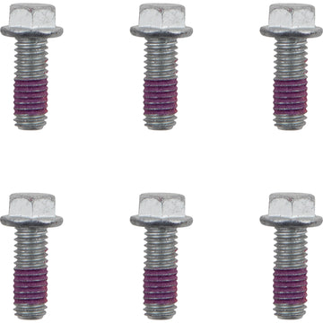 MOTO-MASTER Bolts - Rotor - M6 x 16 12003-PU