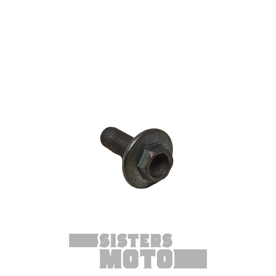 Sherco Enduro Special Screw Th Ep 6 X 16 | Oem/Spare Parts Usa