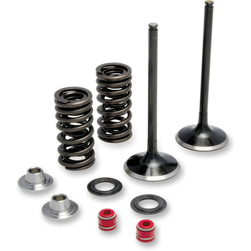 Moose Racing Valve and Spring Kit M60-61260
