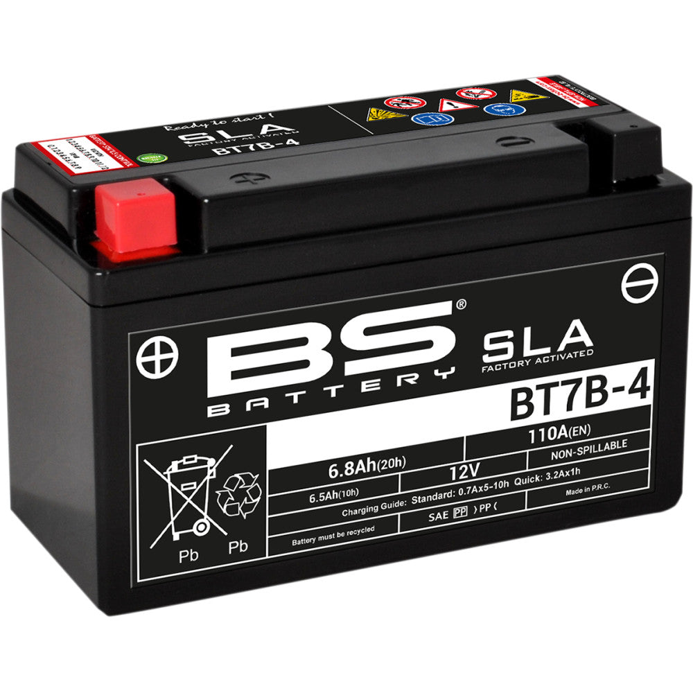 BS Battery Battery - BT7B-4 (YT) 300641