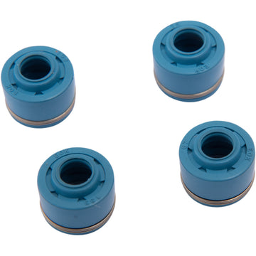 XCELDYNE Valve Seal Kit CVMSEA13001