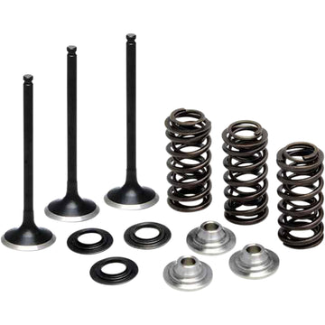 Kibblewhite Valve Spring Kit 80-80850 | Valves & Parts | Kibblewhite