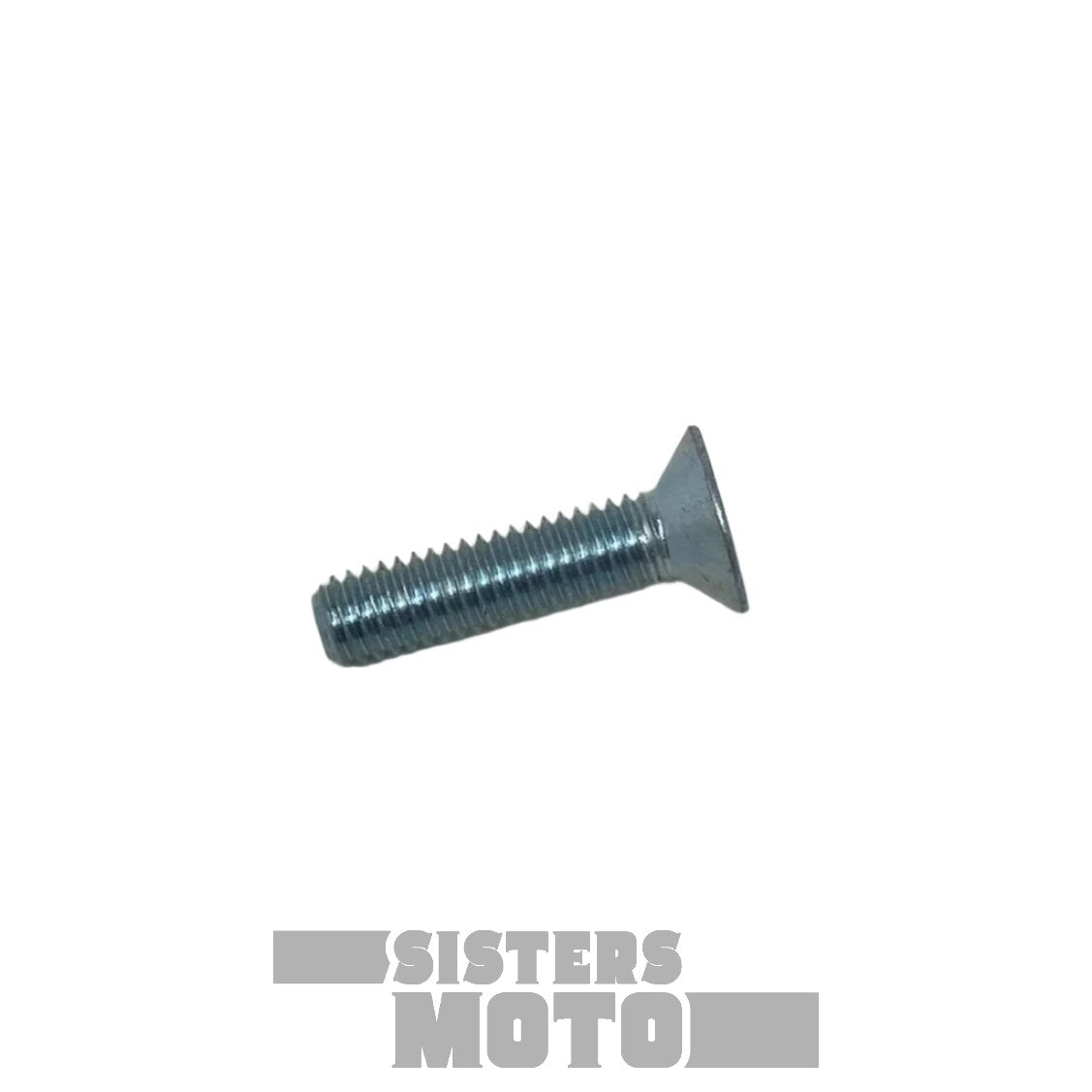 Sherco Screw FHC M6 X 25