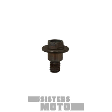 Sherco Fork Protector Bolt Xplor