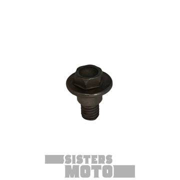 Sherco Fork Protector Bolt Xplor