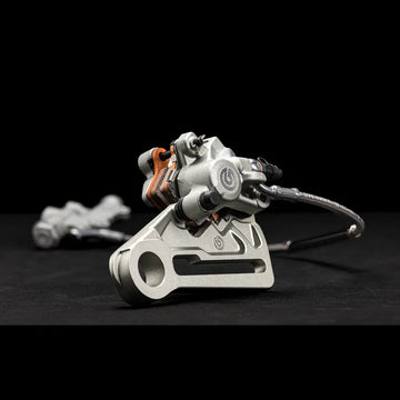 Rear Foot Brake Assembly