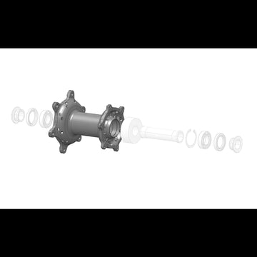 Rear Hub