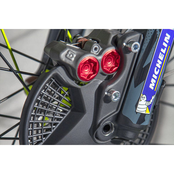 250 ST Racing Trial 2024