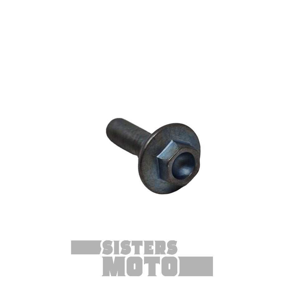 Sherco Enduro Special Screw Th Ep 6 X 20 | Oem/Spare Parts Usa