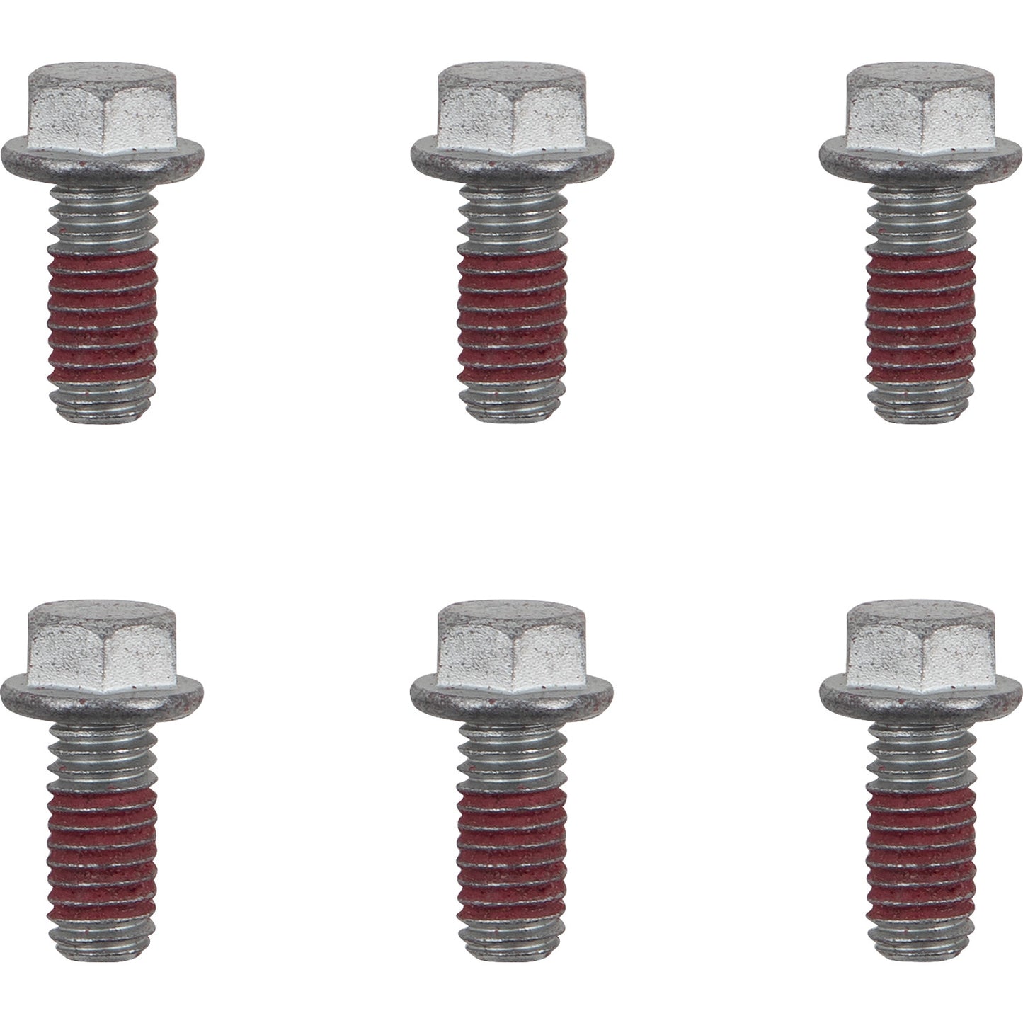 MOTO-MASTER Bolts - Rotor - M6 x 13 12019-PU