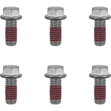 MOTO-MASTER Bolts - Rotor - M6 x 13 12019-PU