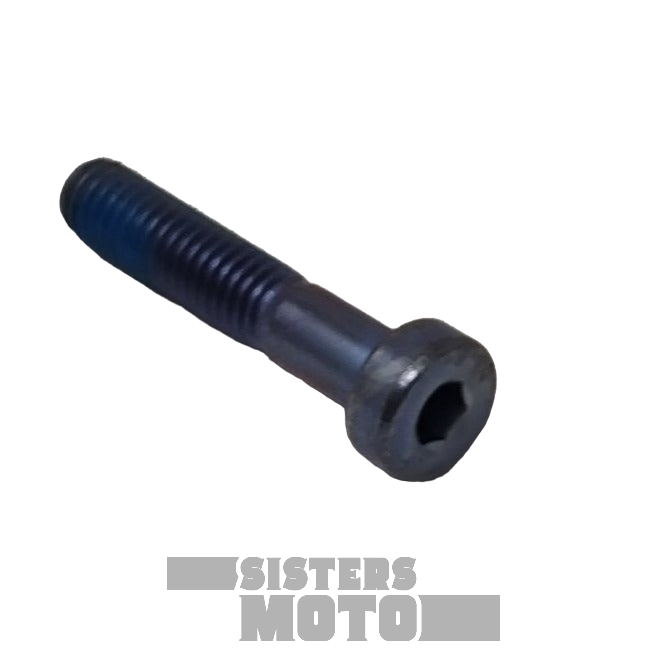 Sherco Enduro Screw Chc 6 X 30 Din 7984 | Oem/Spare Parts Usa