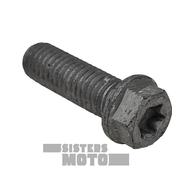 Sherco Enduro Screw M8 X25 | Oem/Spare Parts Usa