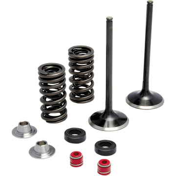 Kibblewhite Spring Kit - Stainless Steel 30-32440 | Valves & Parts | Kibblewhite