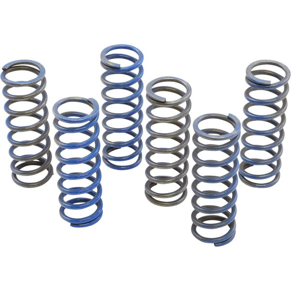 Hinson Racing Spring Kit CS130-6-8602