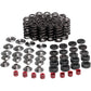 Kibblewhite Valve Spring Kit 80-80250 | Valves & Parts | Kibblewhite