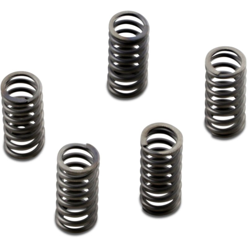 EBC Clutch Springs CSK232 | Clutch Plates & Springs