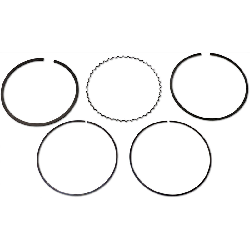 Athena Piston Ring Set - Standard S41316408 | Rings Only