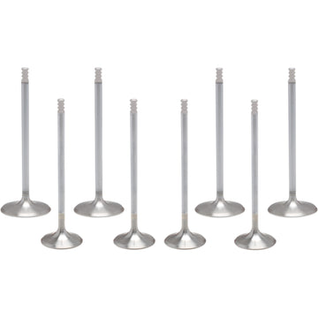 KIBBLEWHITE Valve Kit - M8 20-23300