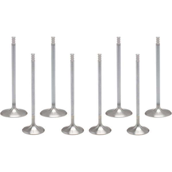 KIBBLEWHITE Valve Kit - M8 20-23300