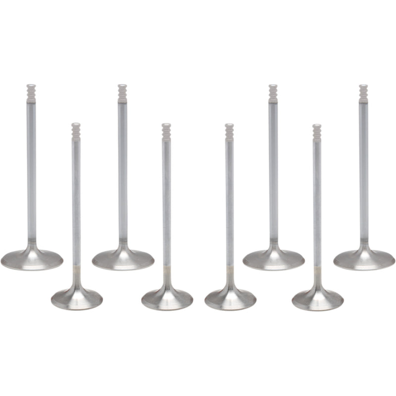 KIBBLEWHITE Valve Kit - M8 20-23300