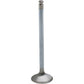 Kibblewhite Intake Valve 80-80213H | Valves & Parts | Kibblewhite