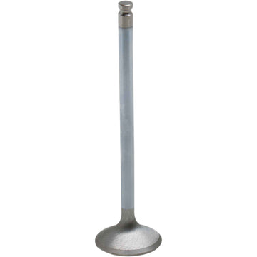 Kibblewhite Intake Valve 80-80213H | Valves & Parts | Kibblewhite